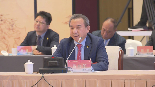 集團董事長呂向陽在會議上發言.jpg
